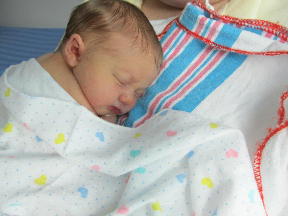 baby hoge finance baby hoge finance