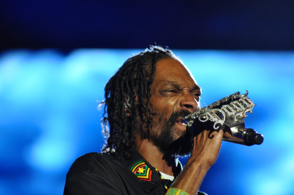4/20 Month What is Snoop Dogg's Net Worth? Plunged in Debt